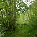 Hardanger Fjordtun Treetopcabin, Nature, Birds, Silence, Fjord And Many Hikes Nearby Apartmán Herand