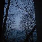 Treetop Cabin Gem - A Forest Feeling By The Hardangerfjord * Herand
