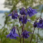 Apartmán Hardanger Fjordtun Treetopcabin, Nature, Birds, Silence, Fjord And Many Hikes Nearby *