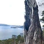 Apartmán Hardanger Fjordtun Treetopcabin, Nature, Birds, Silence, Fjord And Many Hikes Nearby