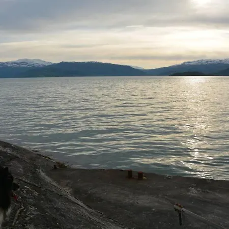 Apartment Treehut, Nature, Birds, Silence And Fjord *