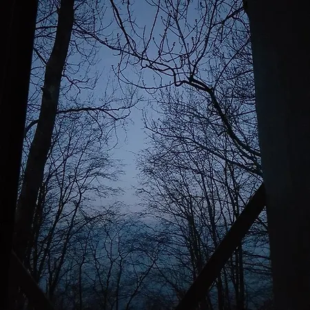 Treetop Cabin Gem - A Forest Feeling By The Hardangerfjord * Herand