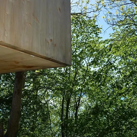 Treehut, Nature, Birds, Silence And Fjord * Herand