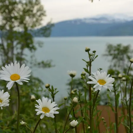 Apartamento Treehut, Nature, Birds, Silence And Fjord Herand