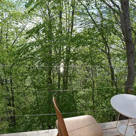 Treehut, Nature, Birds, Silence And Fjord *