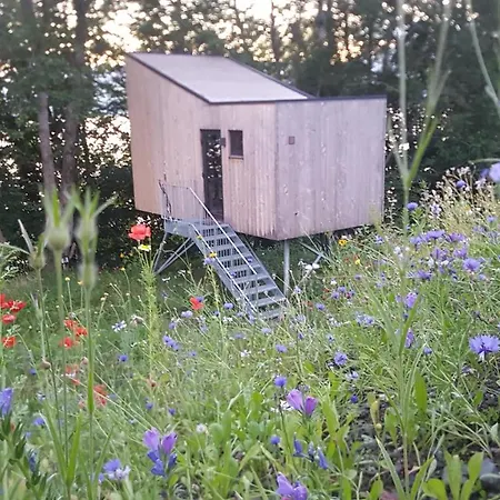 Treetop Cabin Gem - A Forest Feeling By The Hardangerfjord Appartamento