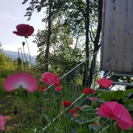 Treehut, Nature, Birds, Silence And Fjord Herand