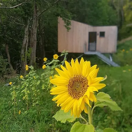 Apartamento Treehut, Nature, Birds, Silence And Fjord Herand
