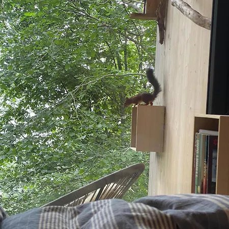 Hardanger Fjordtun Treetopcabin, Nature, Birds, Silence, Fjord And Many Hikes Nearby Apartmán *