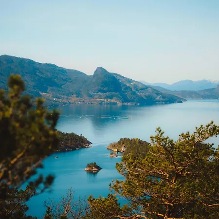 Lejlighed Treetop Gem - A Forest Feeling By The Hardangerfjord *