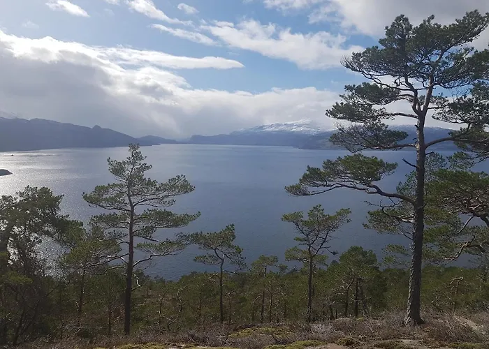 Lejlighed Hardanger Fjordtun Treetopcabin, Nature, Birds, Silence, Fjord And Many Hikes Nearby *