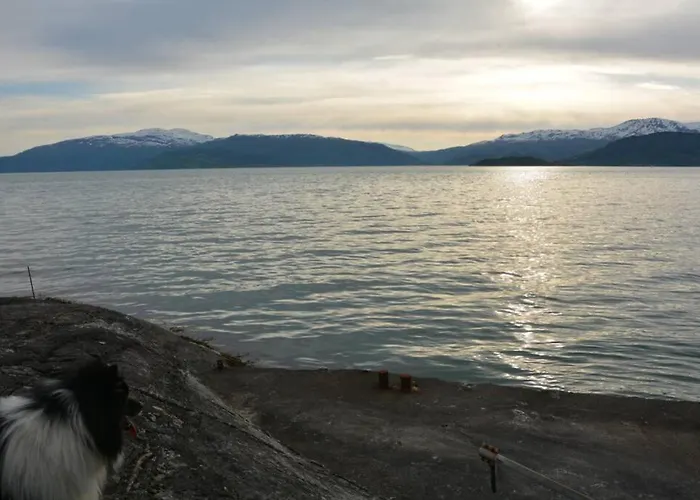 Lejlighed Hardanger Fjordtun Treetopcabin, Nature, Birds, Silence, Fjord And Many Hikes Nearby *