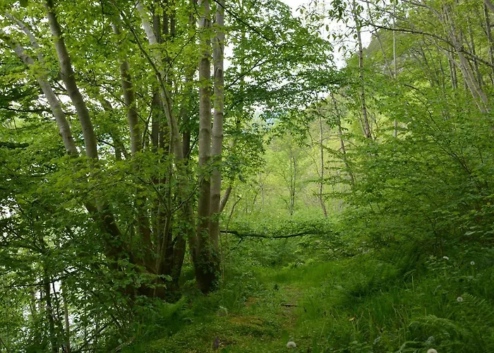 Hardanger Fjordtun Treetopcabin, Nature, Birds, Silence, Fjord And Many Hikes Nearby Lejlighed Herand
