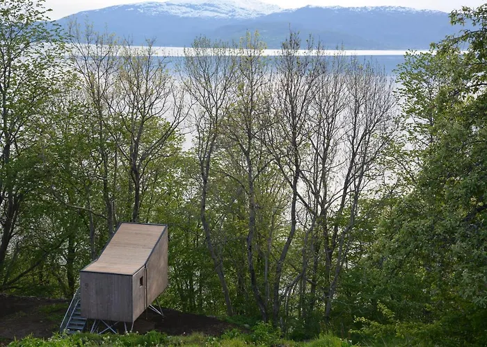 Lejlighed Hardanger Fjordtun Treetopcabin, Nature, Birds, Silence, Fjord And Many Hikes Nearby Herand