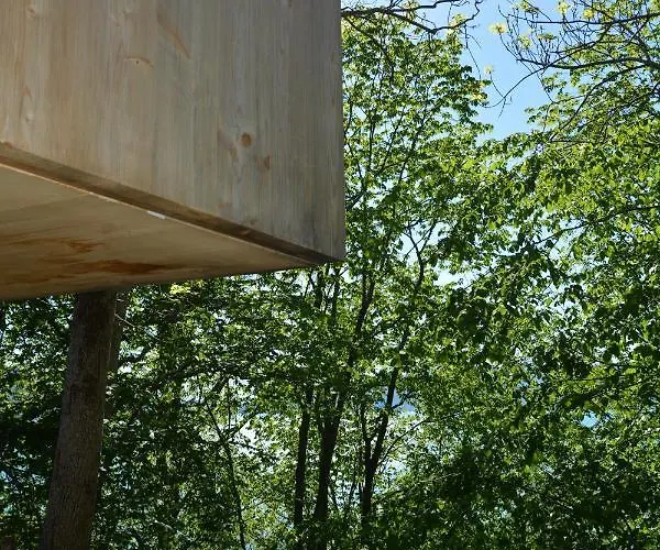 Hardanger Fjordtun Treetopcabin, Nature, Birds, Silence, Fjord And Many Hikes Nearby * Herand