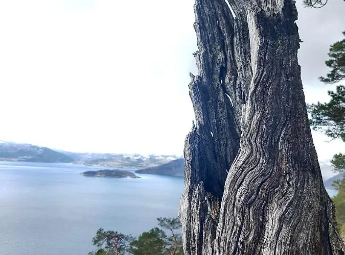Lejlighed Hardanger Fjordtun Treetopcabin, Nature, Birds, Silence, Fjord And Many Hikes Nearby