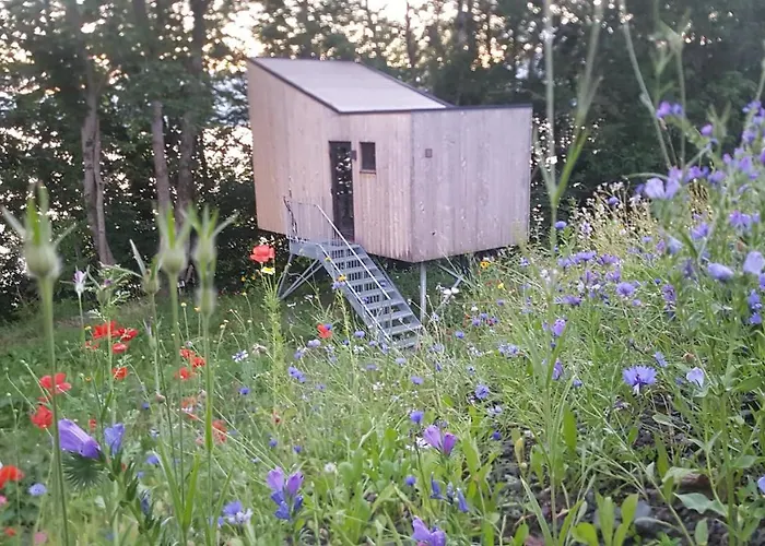 Hardanger Fjordtun Treetopcabin, Nature, Birds, Silence, Fjord And Many Hikes Nearby Lejlighed