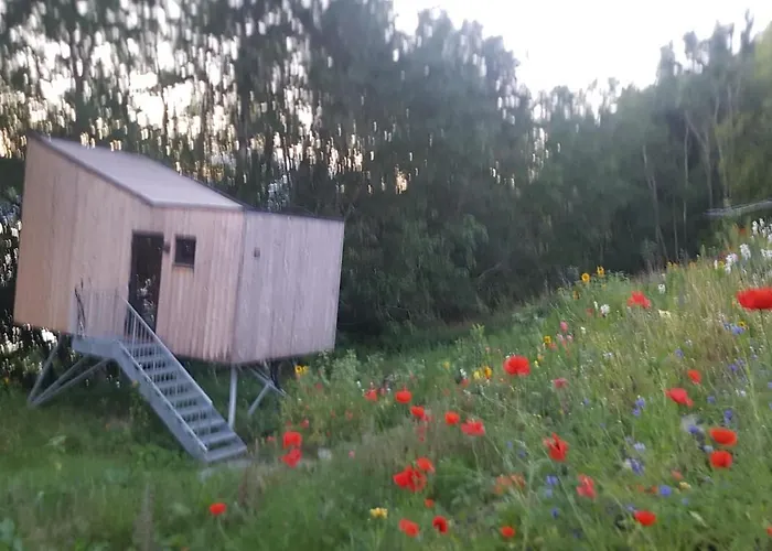 Hardanger Fjordtun Treetopcabin, Nature, Birds, Silence, Fjord And Many Hikes Nearby *