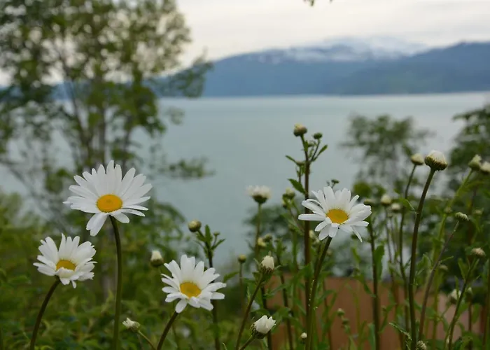 아파트 Hardanger Fjordtun Treetopcabin, Nature, Birds, Silence, Fjord And Many Hikes Nearby Herand