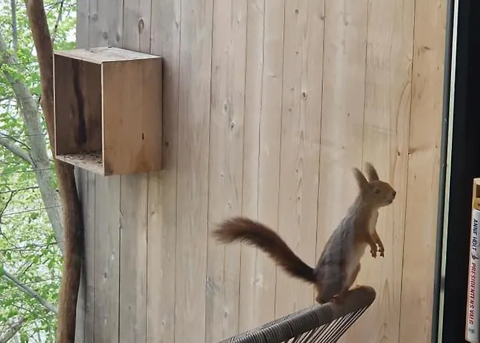 Hardanger Fjordtun Treetopcabin, Nature, Birds, Silence, Fjord And Many Hikes Nearby 아파트 *